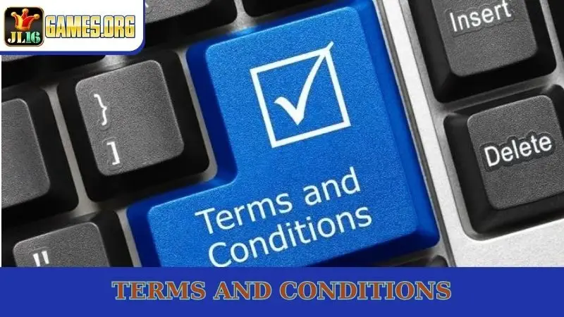 Terms And Conditions